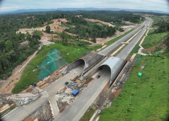 Lindungi Hewan, Waskita Kebut Jembatan Satwa Rp2,6 Triliun