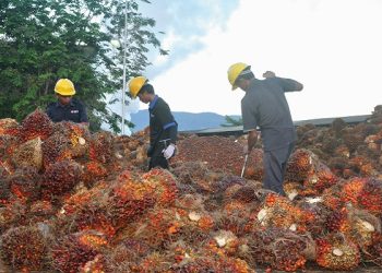 Dedengkot Pasar Modal Borong 778,85 Juta Saham Grup Salim, Ini Tujuannya