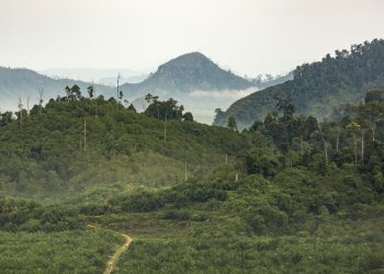 STA Resources Raup Laba Rp656 Miliar, Intip Rinciannya