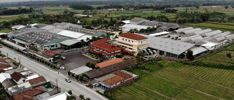 Menanjak 73 Persen, BISI Catat Laba Rp30 Miliar