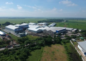 Kapok Tekor, Laba Dua Putra Melonjak 131 Persen