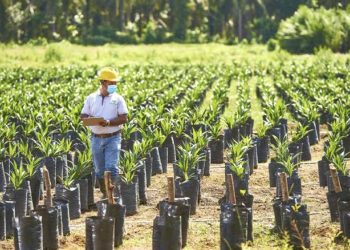 Bayar Utang, Provident Investasi Tawarkan Obligasi Rp420 Miliar