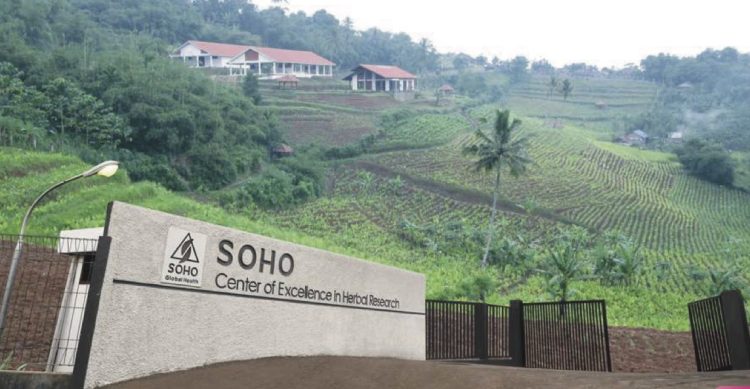 Cair 22 Januari 2026, Soho Global Tabur Dividen Rp420 Miliar
