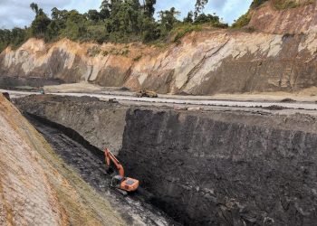 Prajogo Pangestu Turun Gunung, Saham CUAN Tancap Gas