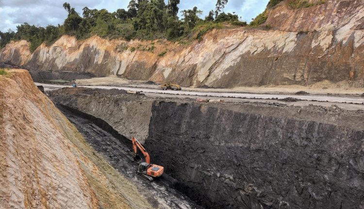 Prajogo Pangestu Turun Gunung, Saham CUAN Tancap Gas