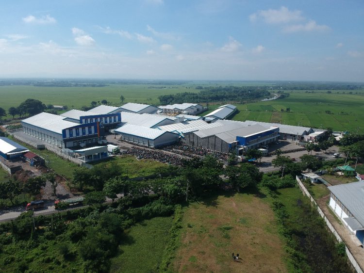 Menjadi Incaran Akuisisi, Keuangan Dua Putra Kembang-kempis